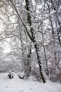 ⛄Traumhafte Winterlandschaft: So schön ist das Sauerland im Winter (Teil