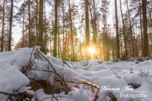 Winterlandschaft – Schnee in einem besonderen Licht (Teil 2)