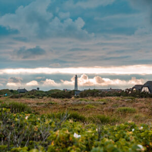 Leinwand Blåvand 1