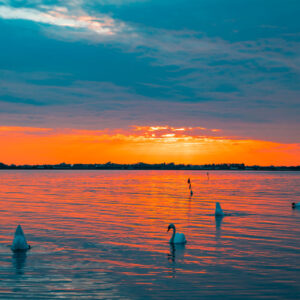 Leinwand Fehmarn 8
