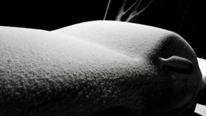 Paysage hivernal – neige dans une lumière particulière (partie 1)