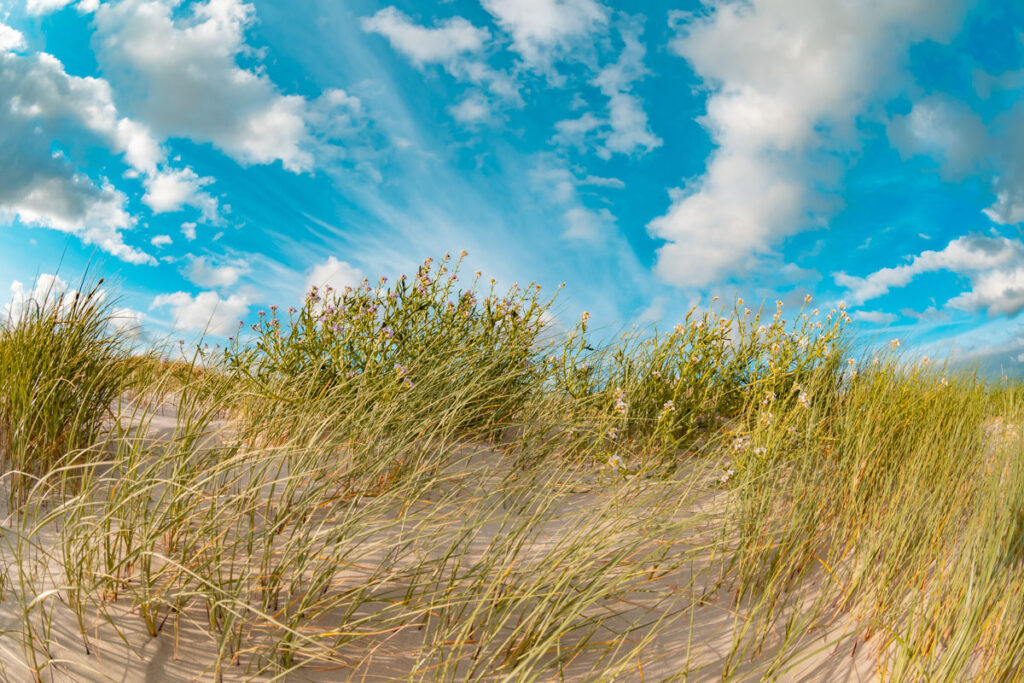 Leinwand Sankt Peter-Ording 13 – Leinwand von Hennen Arts