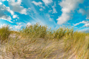 Leinwand Sankt Peter-Ording 13 – Leinwand von Hennen Arts