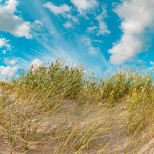 Leinwand Sankt Peter-Ording 13