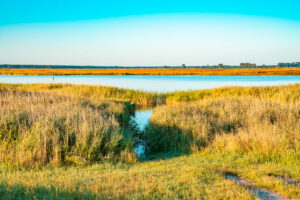 Leinwand Zingst 22 – Leinwand von Hennen Arts