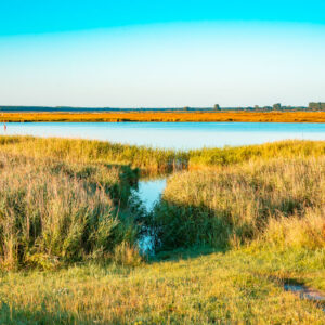 Leinwand Zingst 22